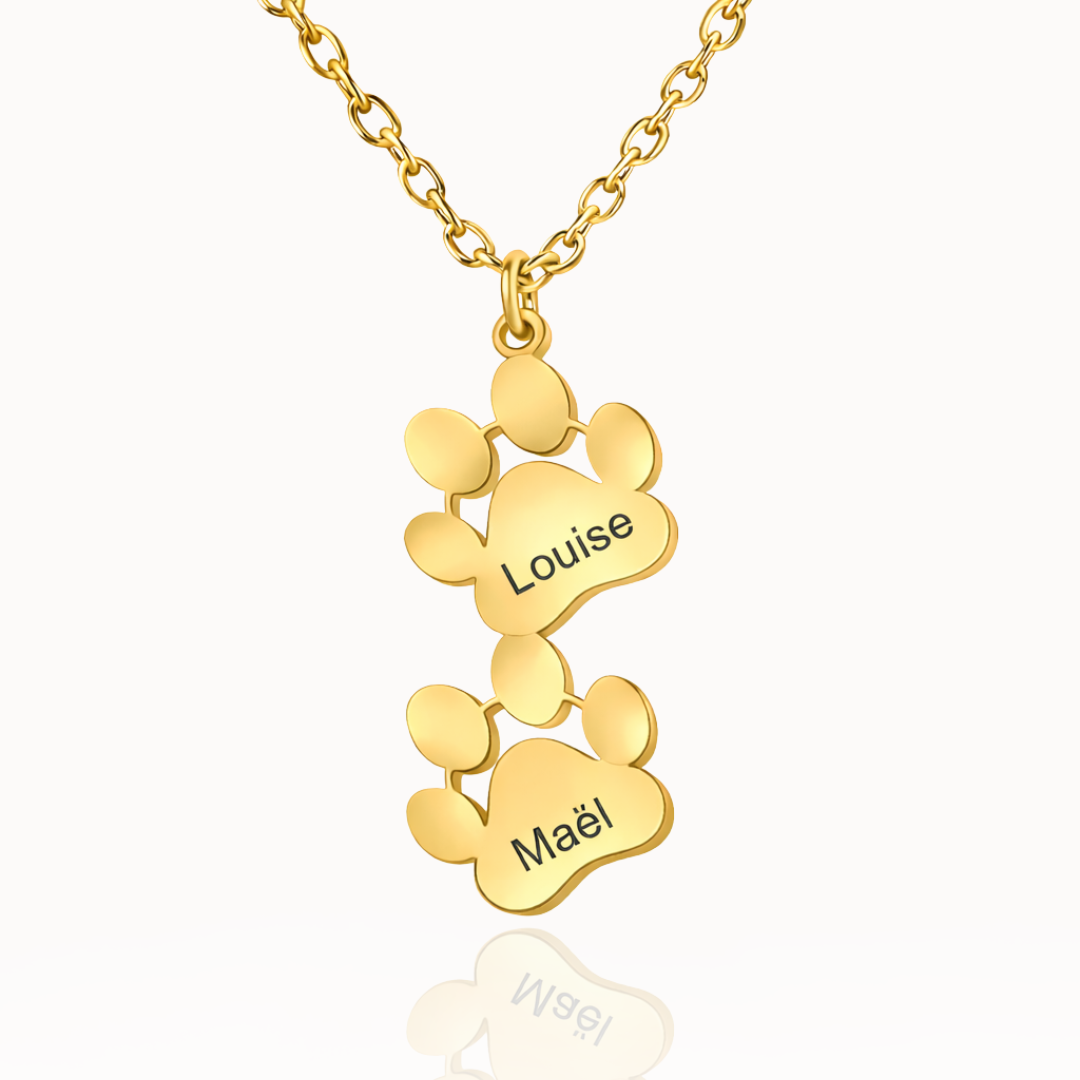 Collar con Huellas de Perro y Gato