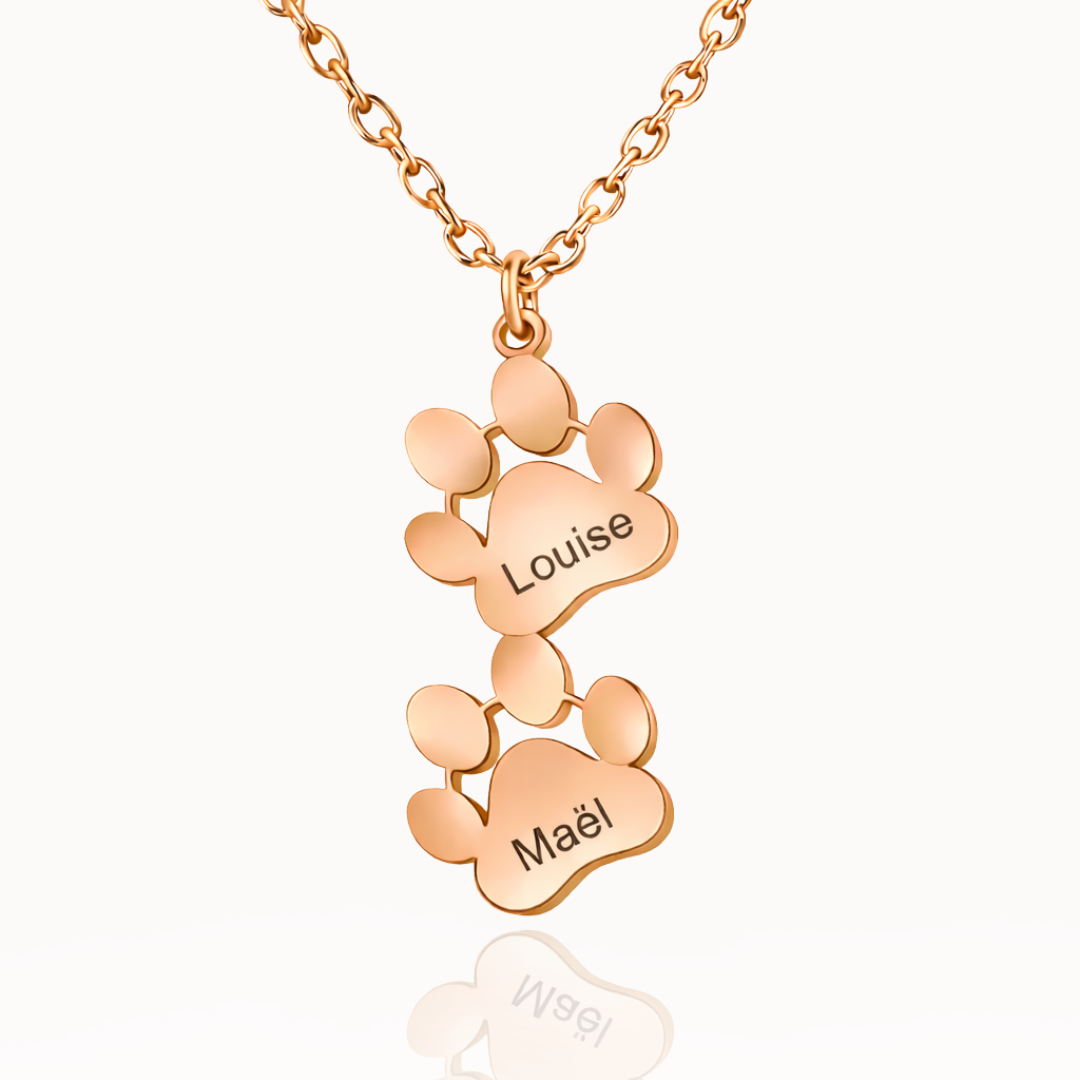 Collar con Huellas de Perro y Gato